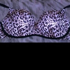 Cheetah VS Bra!