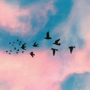 Meet your Posher, Seaosha