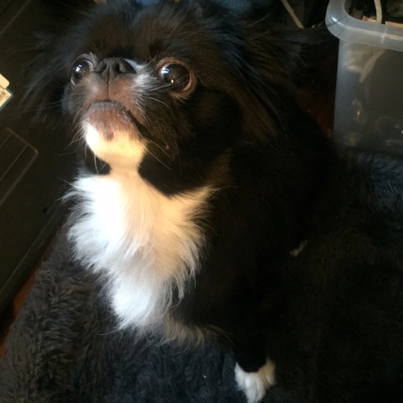 🐙MAKE ME OFFERS! Hella Posh seller w stats🐙 - Picture 3 of 4