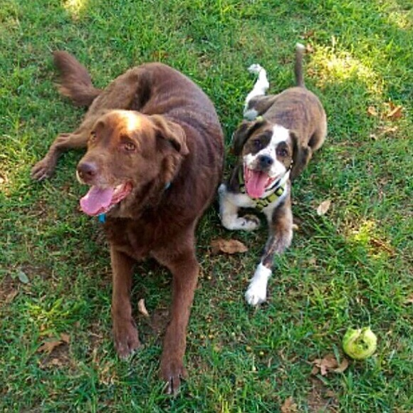 Hi I'm Ashley! - Picture 2 of 4