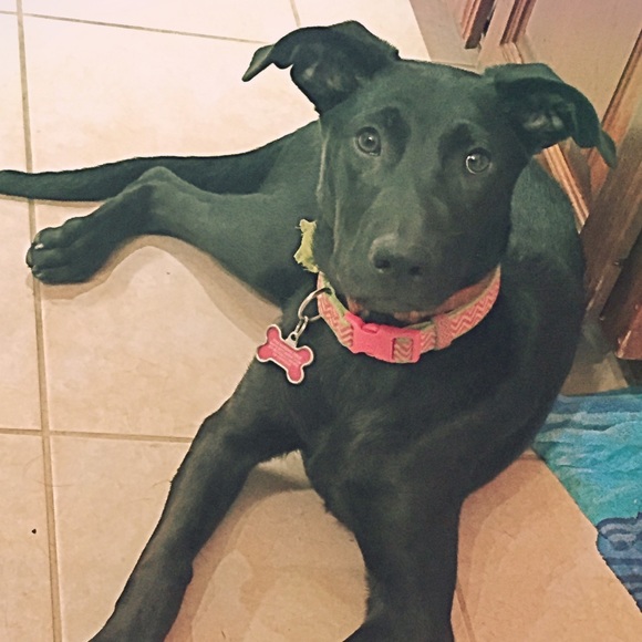 Hi I'm Ashley! - Picture 3 of 4