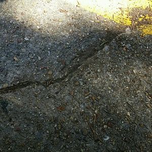 Meet your Posher, Crysten