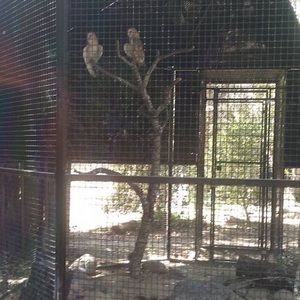 Meet your Posher, Luz