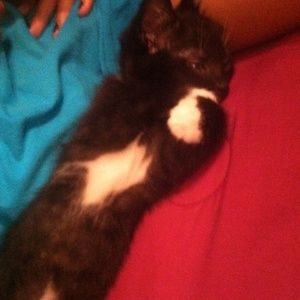 Meet your Posher, Alexis