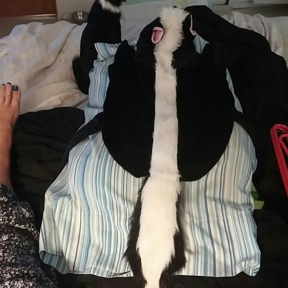 Skunk Halloween dog outfit