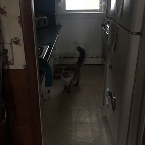 Meet your Posher, Amber