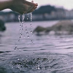 Meet your Posher, Alanna