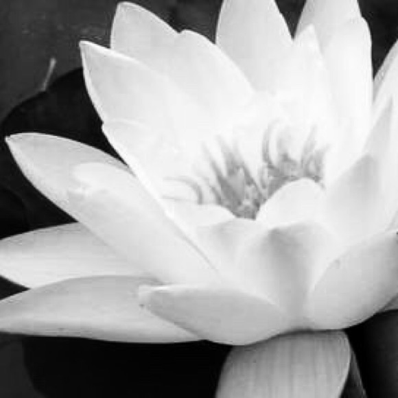 Meet your Posher, Cheryl