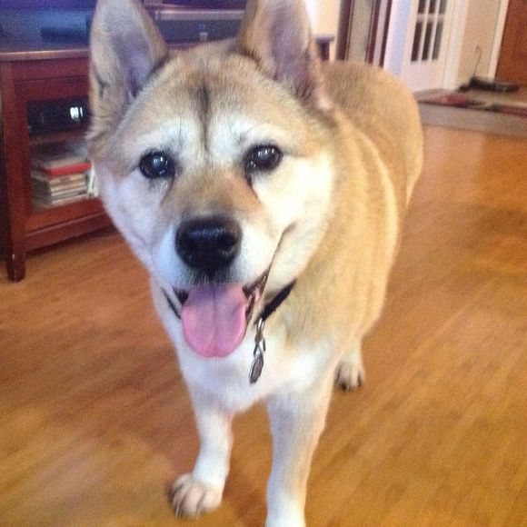 Meet your Posher, Yong - Picture 1 of 1