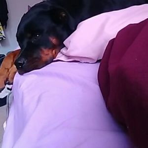 Meet your Posher, Trinity