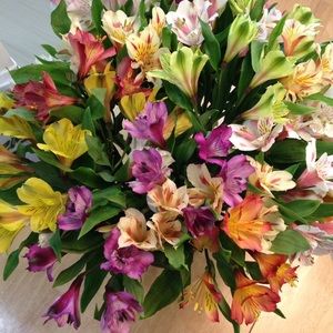 Meet your Posher, Elaine