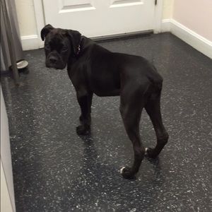 Meet your Posher, Jaime