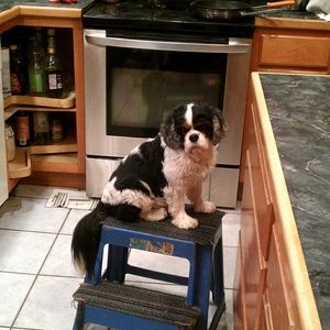 Meet your Posher, Melissa