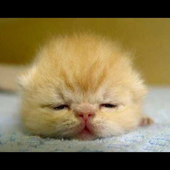 Hi, I'm Tawana! 🎀 Welcome to my closet!