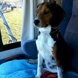 Meet your Posher, Coty