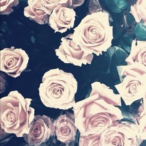 Meet your Posher, Chloe