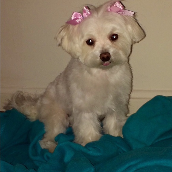 Meet your Posher, Sara