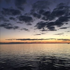 Meet your Posher, Sheila