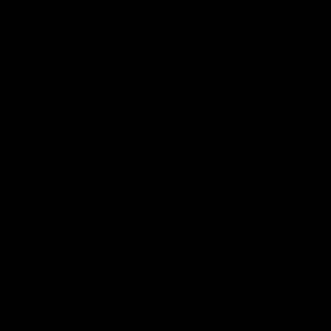 Meet your Posher, Chloe