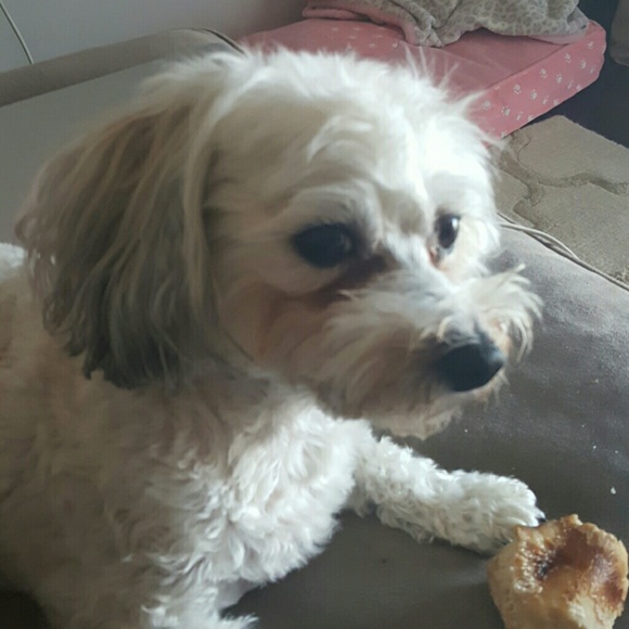 Meet your Posher, Ashley - Picture 2 of 3