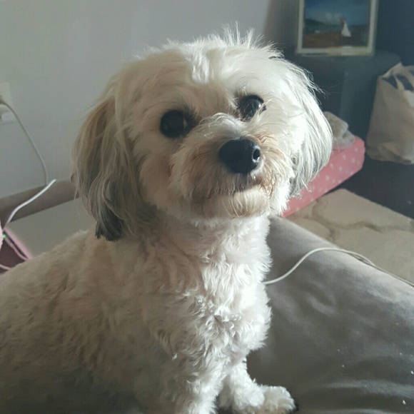 Meet your Posher, Ashley - Picture 3 of 3