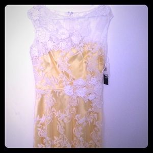 Knee length yellow Teri Jon dress