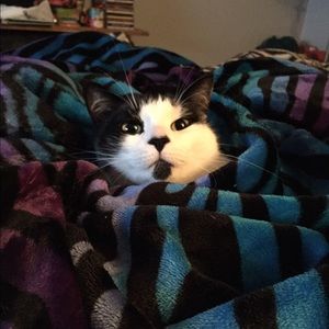 Meet your Posher, Erin