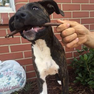 Meet your Posher, Brittani