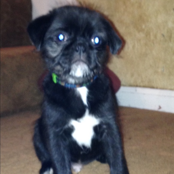 Meet your Posher, April - Picture 1 of 1