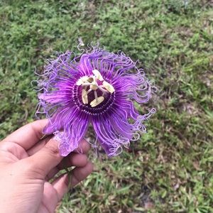 Meet your Posher, Marisol