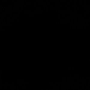 Meet your Posher, Nina