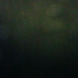 Meet your Posher, Rose