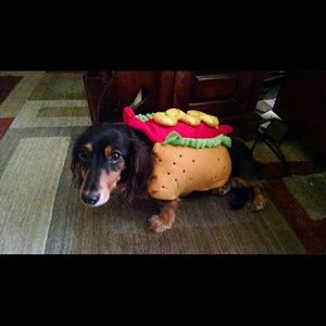 Meet your Posher, Iva