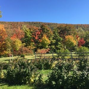 Meet your Posher, Arden