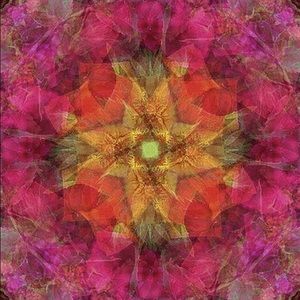 Meet your Posher, Jaclyn