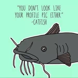 Meet your Posher, Molly