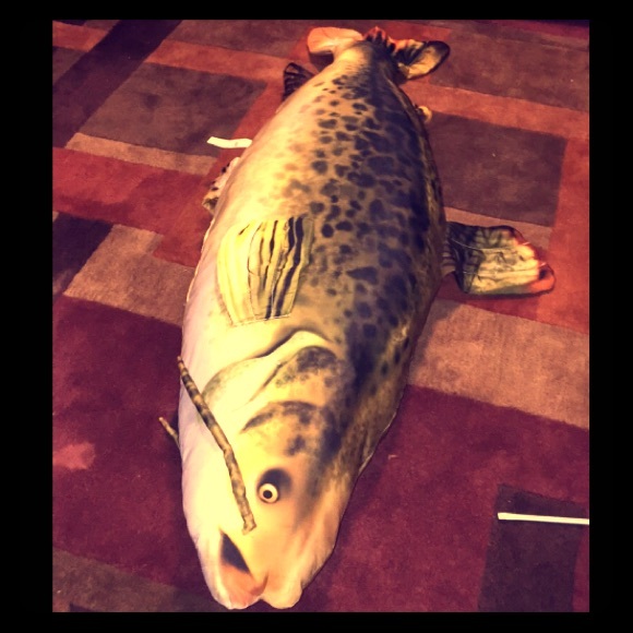 FUN Large fishing pillow!
