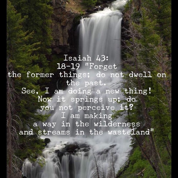 Meet your Posher, Amber - Picture 1 of 1