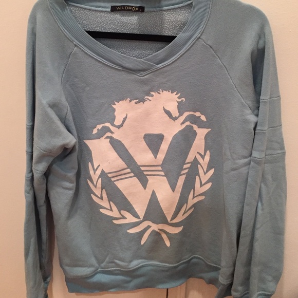 🚫SOLD🚫Wildfox Sweater
