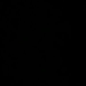 Meet your Posher, Zaira