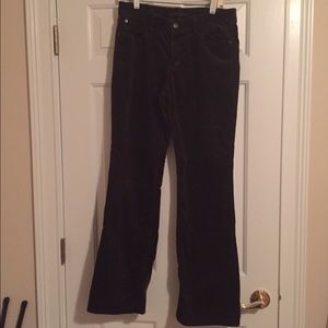 Eddie Bauer chocolate cords.