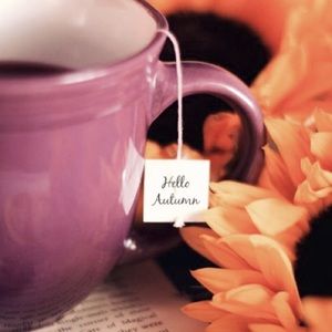 Meet your Posher, Ally