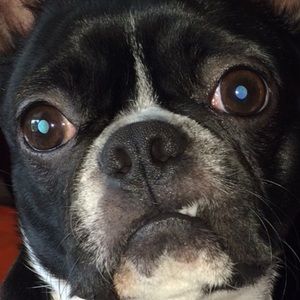 Meet your Posher, Deanna