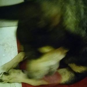 Meet your Posher, Daniela