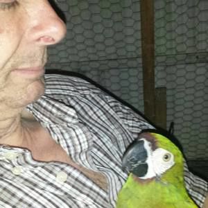 Meet your Posher, Shane