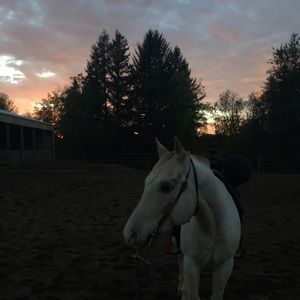 Meet your Posher, Taylor