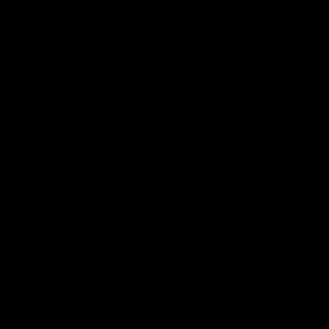 Meet your Posher, Andi