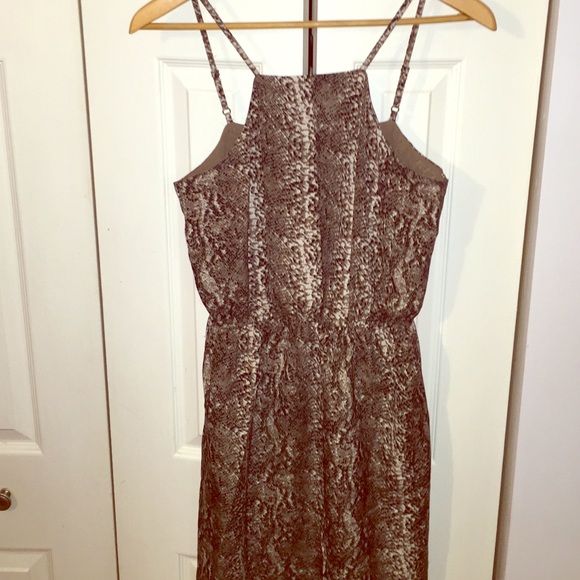 Sexy and Fun Animal Print Dress