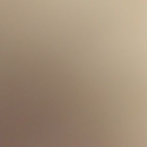 Meet your Posher, Rick