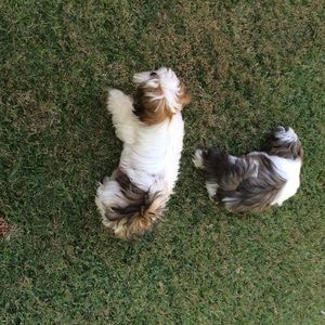 Meet your Posher, Maria